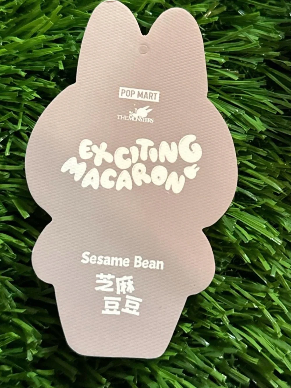 Exciting Macaron Sesame Bean!